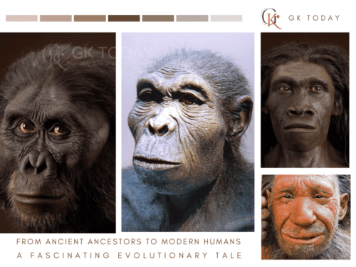 From Ancient Ancestors to Modern Humans A Fascinating Evolutionary Tale