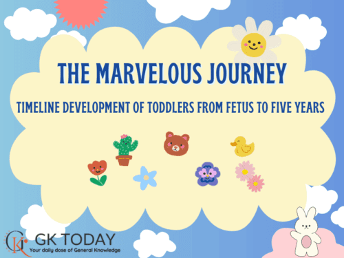 The Marvelous Journey: Timeline Development of Toddlers from Fetus to Five Years